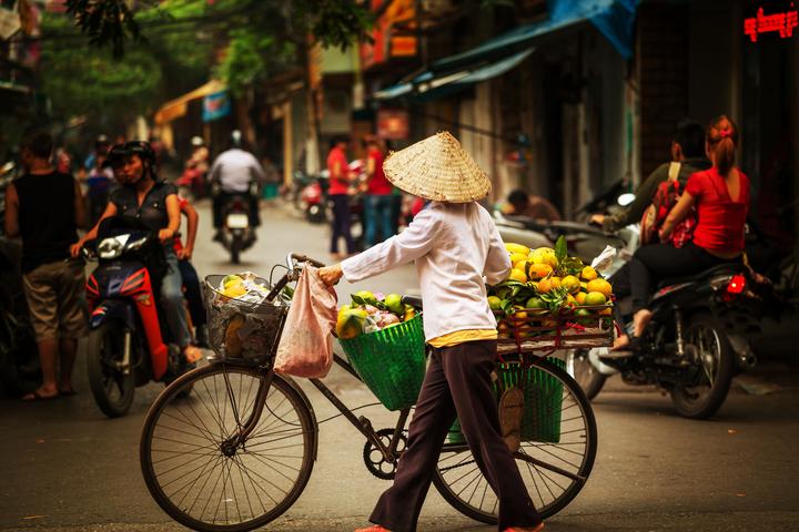 Hotspot Matrix: Biến 4 kiểu áo không thể thiếu thành cơ hội marketing đột phá