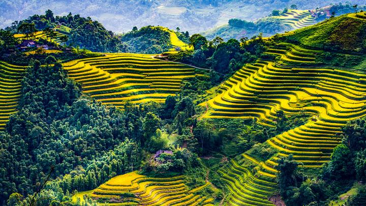 Xu hướng Bùng nổ phong cách cùng bộ: Hotspot Matrix tiết lộ bí quyết video viral