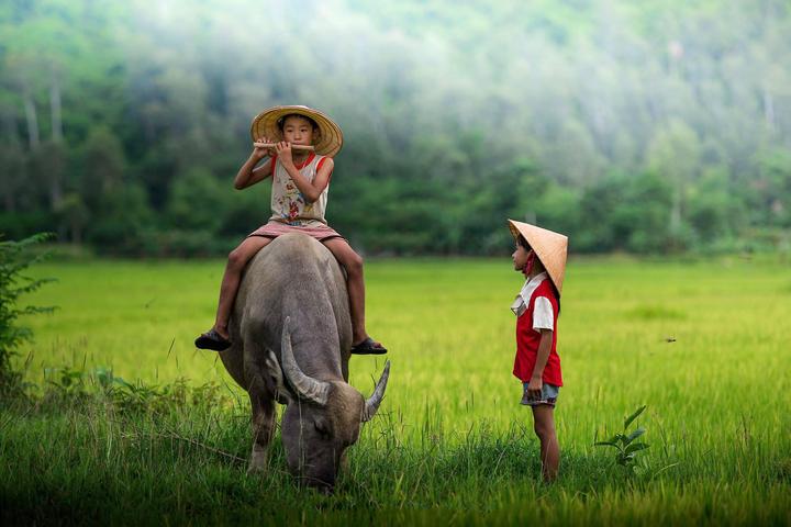 Chuyên gia Hotspot Matrix phân tích: Phòng chật đến đâu giường ngủ và marketing video