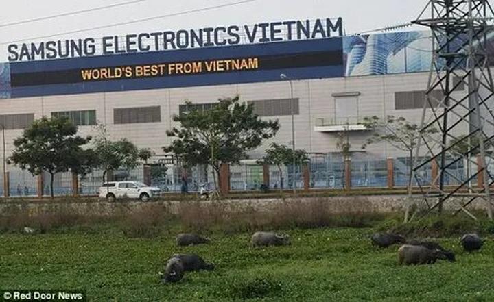 Hotspot Matrix: Biến Vì sao nhiều người học dốt thành cơ hội marketing đột phá